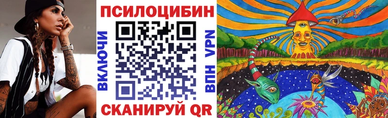 Купить где  Наволоки  Псилоцибиновые грибы прущие грибы 